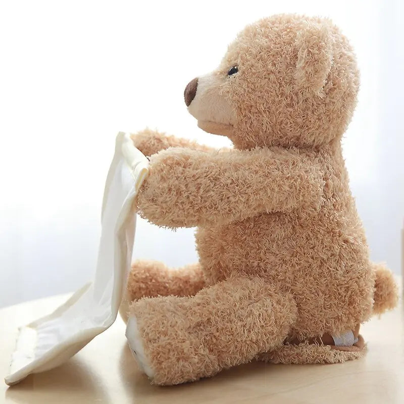 Hide and Seek Bear Toy