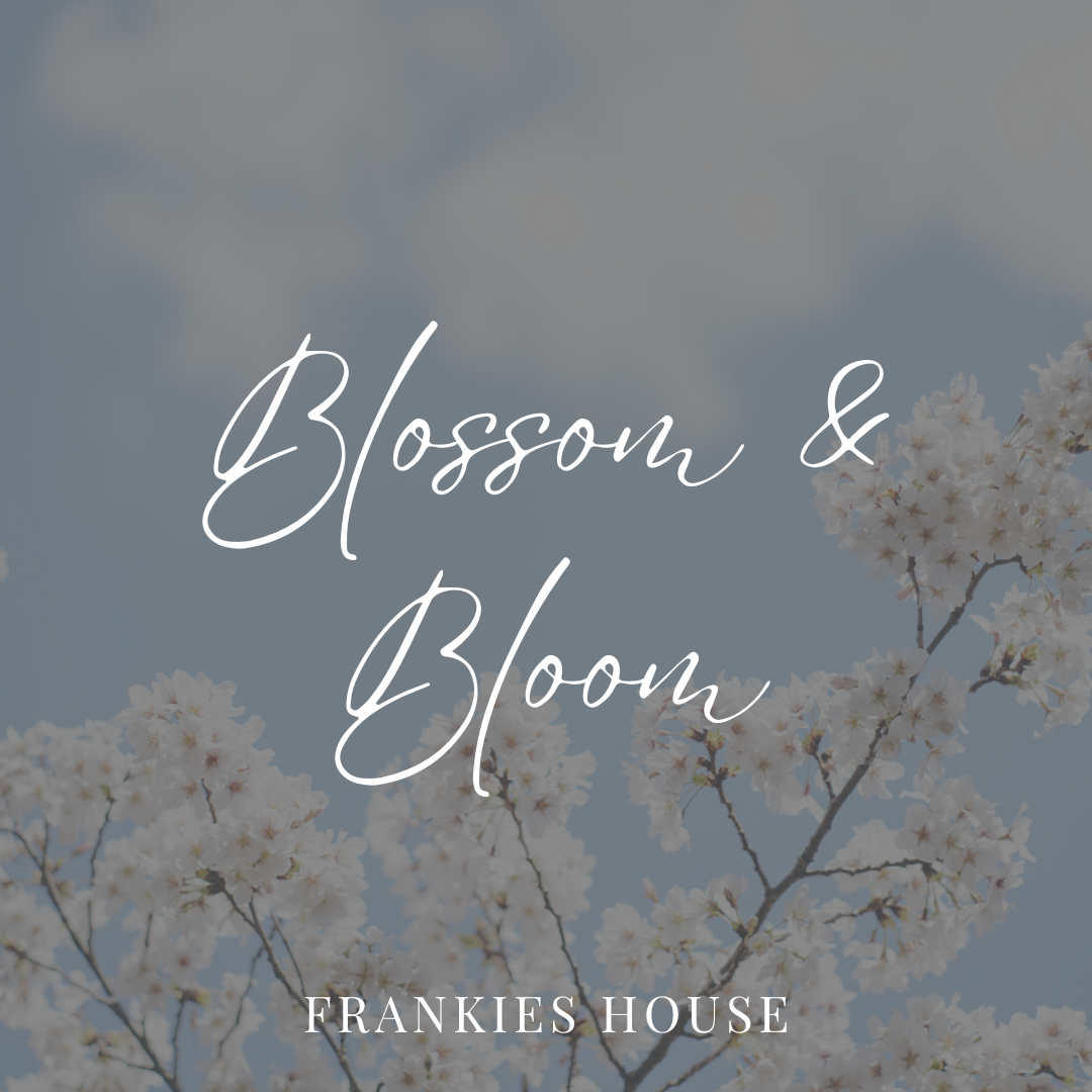 Blossom & Bloom